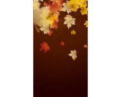 پس‌زمینه قهوه‌ای پاییزی با ریزش برگ. روز شکرگزاری و برداشت محصول. حاشیه برگ‌های افرا و بوکه. انیمیشن حلقه‌ای. ویدیوی عمودی. ویدیوی استوک