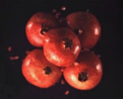 mrmiix.com_pomegranates rise up