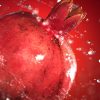 mrmiix.com_rotating pomegranate