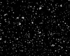 بارش برف واقع‌گرایانه روی پس‌زمینه سیاه، دانه‌های برف به سمت پایین، انیمیشن، ویدیوی استوک 4K