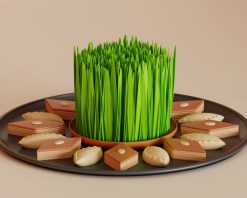 انیمیشن سه بعدی از سبزه عید نوروز با سمنو سبز، شکربورا و باقلوا در پس زمینه ایزوله، ویدیوی استوک HD