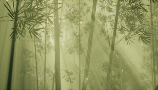 mrmiix.com_Asian bamboo forest