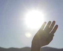 نور خورشید از میان دستی که تکان می‌دهد، می‌درخشد. نمای بسیار آهسته.