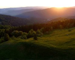 ویدیوی استوک HD از نمای هوایی زیبا از جنگل در کوهستان هنگام غروب آفتاب