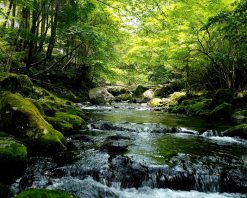 ویدیوی استوک منظره‌ای از پخش زنده شفاف با کیفیت