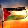 mrmiix.com_Palestine Flag Backlit