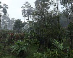 mrmiix.com_Heavily falling rain in the tropical zone
