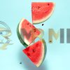 mrmiix.com_Watermelon slice falling on pastel