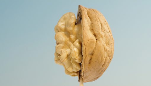 mrmiix.com_A walnut split in half