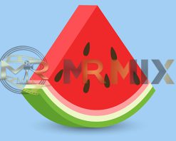 mrmiix.com_Watermelon slice icon