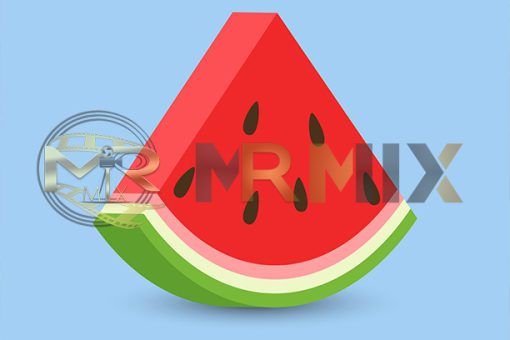 mrmiix.com_Watermelon slice icon