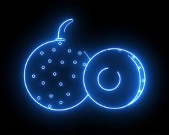 mrmiix.com_Animated longan fruit icon with a glowing