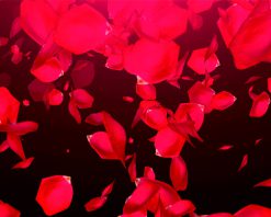 mrmiix.com_Falling Rose Petals on black background