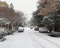 mrmiix.com_Walking in the snowy weather