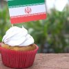 mrmiix.com_Cupcake with Iran flag